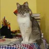 Отзыв от Олеся Дубова